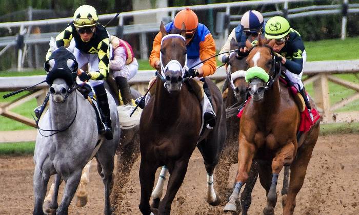 Puzzle Course de chevaux