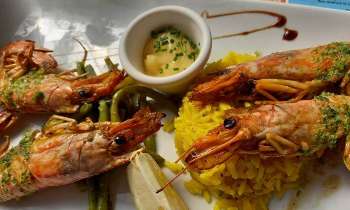 Puzzle 8116 - Gambas aïoli