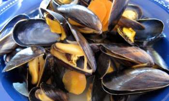 Puzzle 9740 - plat de moules