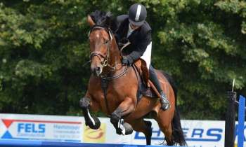 Puzzle 8300 - Equitation
