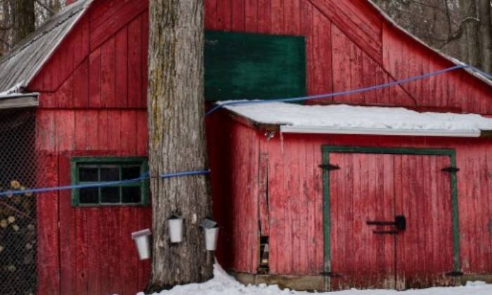 Puzzle la cabane au canada