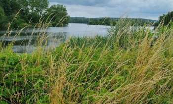 Puzzle 9304 - Etang a St Aigan sur cher