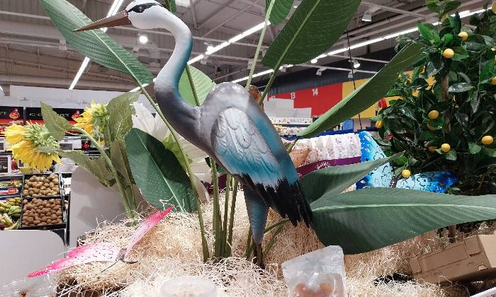Puzzle Aigrette