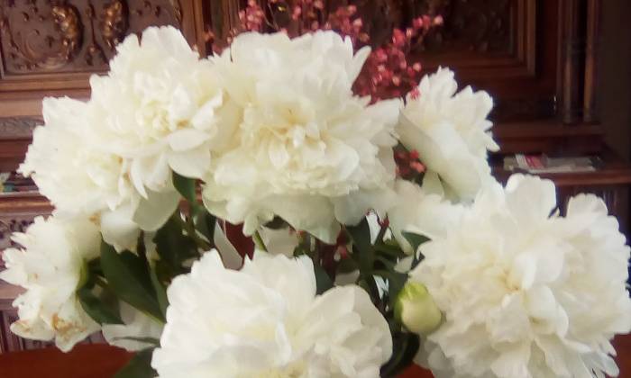 Puzzle bouquet de pivoines - Paysages & Fleurs - Absolu Puzzle