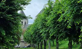 Puzzle 10454 - ignan sur cher