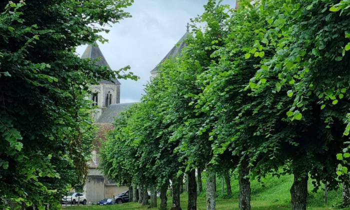 Puzzle ignan sur cher