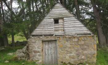 Puzzle 11296 - cabane en forêt