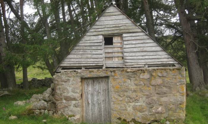 Puzzle cabane en forêt