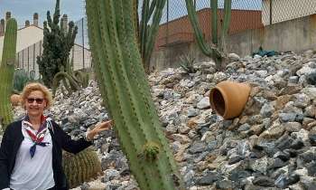 Puzzle 9434 - Cactus géant