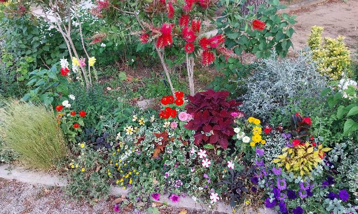 Puzzle Parterre de fleurs