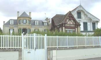 Puzzle 8073 - villa et chalet