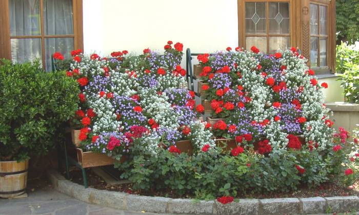 Puzzle façade fleurie
