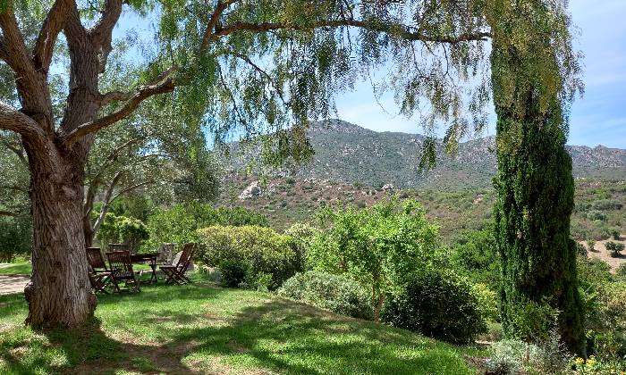 Puzzle Séjour Corse - Paysages & Fleurs - Absolu Puzzle