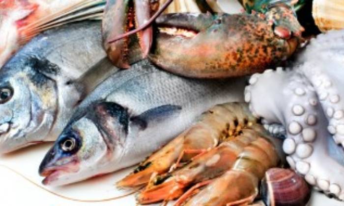Puzzle poissons