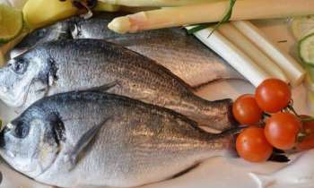 Puzzle 9204 - poissons tomates asperges