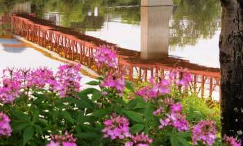 Puzzle 8121 - Pont