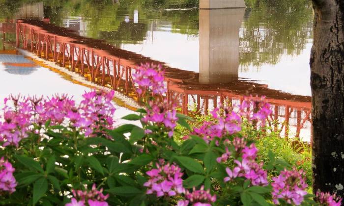 Puzzle Pont
