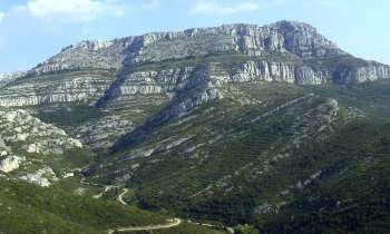 Puzzle 12125 - dans la garrigue