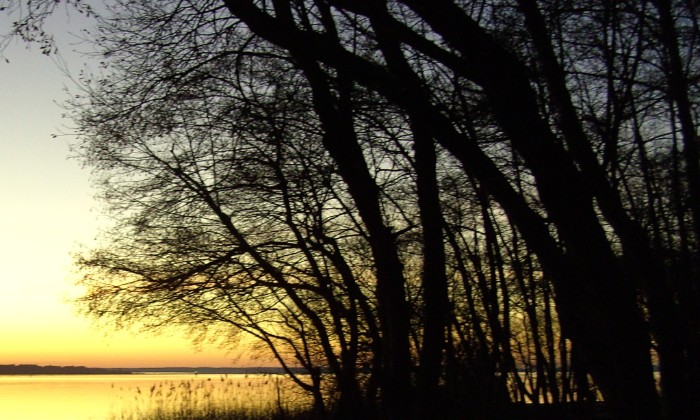 Puzzle lac