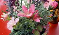 Puzzle Pot de fleurs