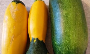 Puzzle 8989 - Courgettes
