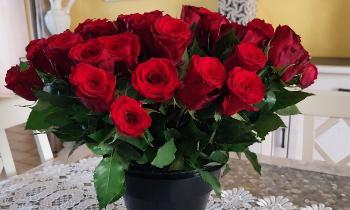 Puzzle 8626 - Pot de roses