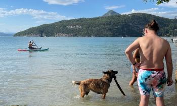 Puzzle 8302 - baignade
