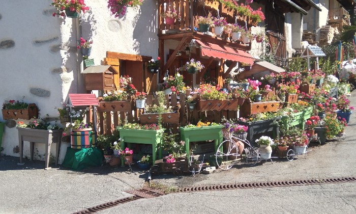 Puzzle maison fleurie