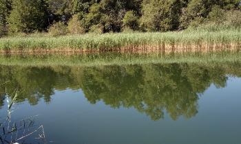 Puzzle 10336 - le lac du loup