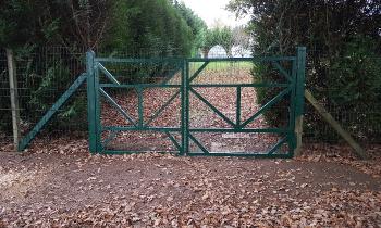 Puzzle 9878 - allée du parc