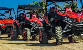 Puzzle 9667 - Buggies