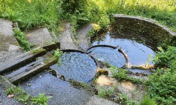 Puzzle 9131 - Ruisseau en cascade