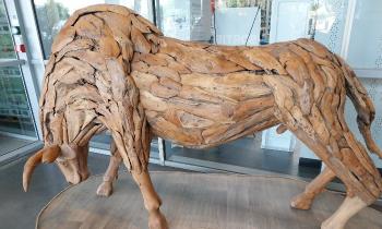 Puzzle 8974 - Taureau