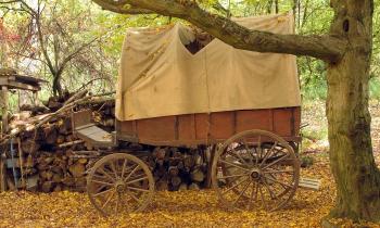 Puzzle 8667 - wagon couvert