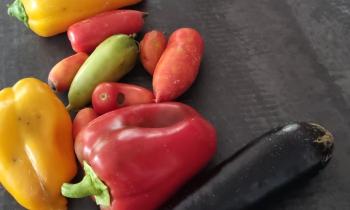 Puzzle 12359 - Derniers légumes du jardin