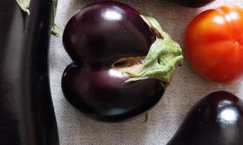 Puzzle 9081 - Légumes