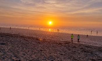 Puzzle 8758 - Plage de la Torche