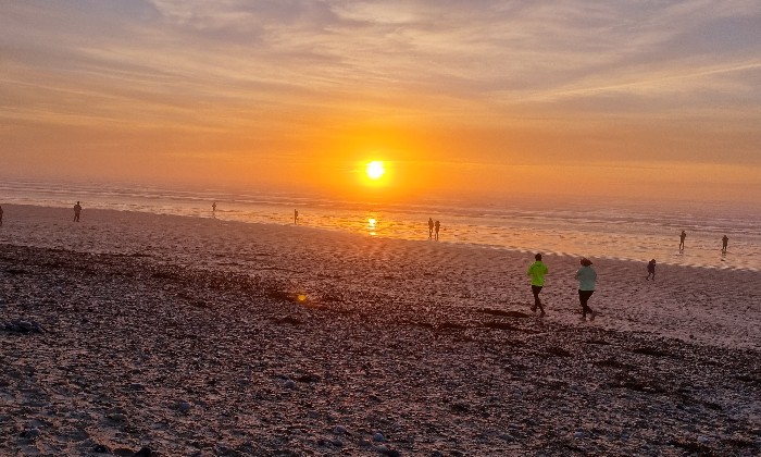 Puzzle Plage de la Torche