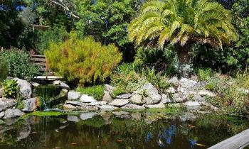 Puzzle 10433 - Jardin exotique de Roscoff