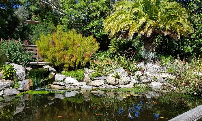 Puzzle Jardin exotique de Roscoff