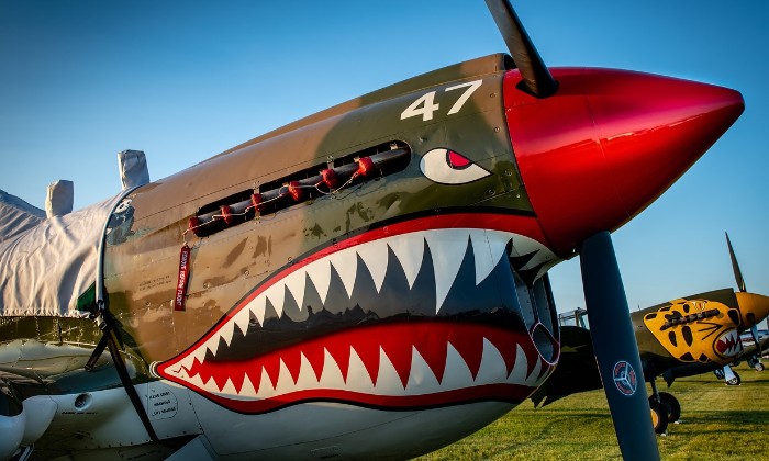 Puzzle Curtiss P40 warhawk
