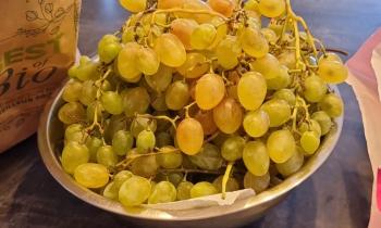 Puzzle 10305 - Raisin chasselat