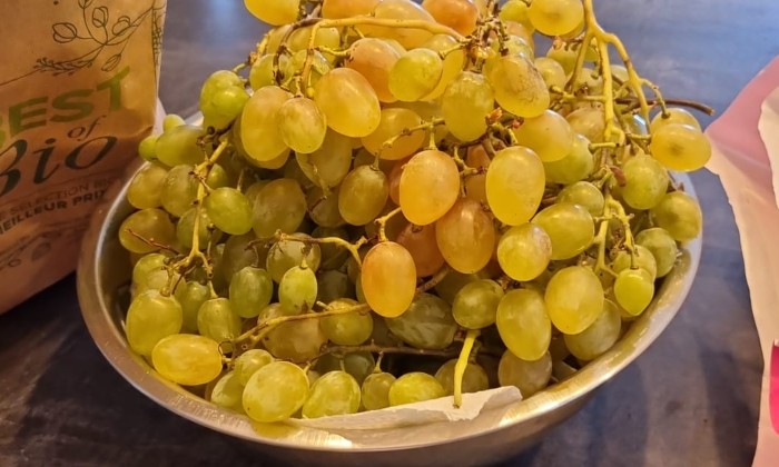 Puzzle Raisin chasselat