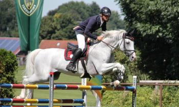 Puzzle 8618 - Equitation saut d'obstacles