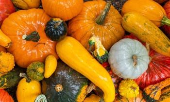 Puzzle 10778 - Citrouilles à foison