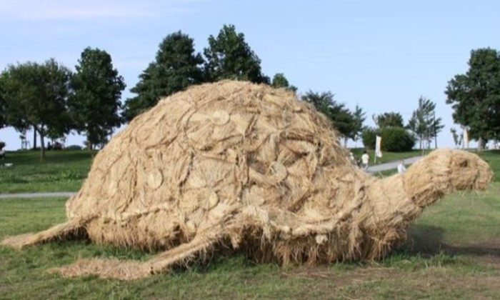 Puzzle Tortue de paille