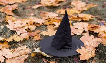 Puzzle 10040 - Automne
