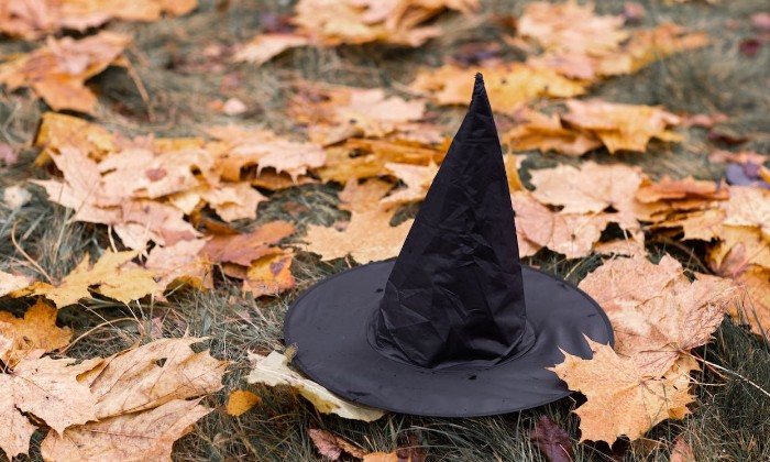 Puzzle Automne