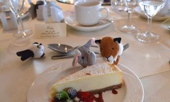 Puzzle 9085 - Joli dessert