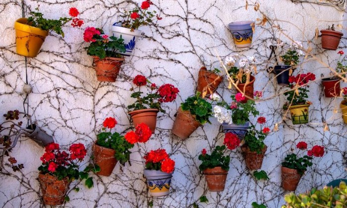 Puzzle Mur de pots de fleurs